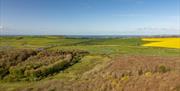 Birds eye view of Friston Forest