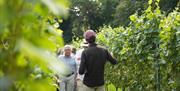 Image of the Vineyard Tours at Mousehall Country Estate Vineyard