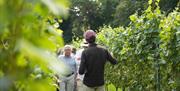 Image of the Vineyard Tours at Mousehall Country Estate Vineyard