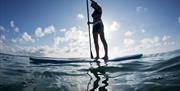 Image of a paddle boarder