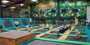 Families enjoying the indoor trampoline park at Go Wild! in Heathfield, surrounded by colourful rainforest-inspired murals.