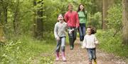 Image of a family walking