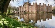 view of the castle over the moat framed by a large tree and yellow flowers