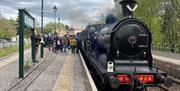 Model Railway Weekend with Real Ale Train and Fish and Chip Suppers