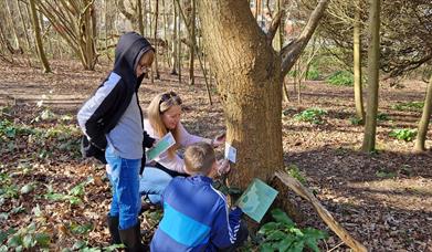 Image of two boys and their mother looking for clues along the trail