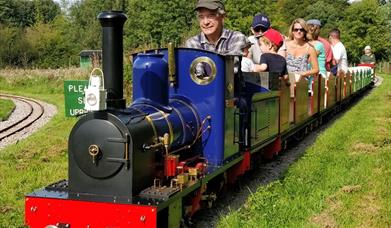 Miniature train, families