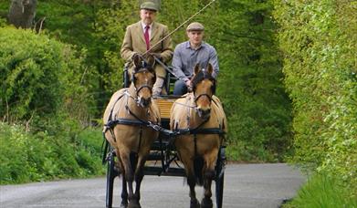 Gotwick Horse Drawn Carriages with two men