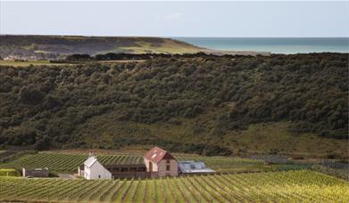 South Downs and the sea from Rathfinny in Sussex