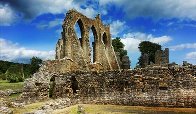 Abbey, ruins