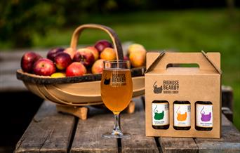 selection of sussex ciders