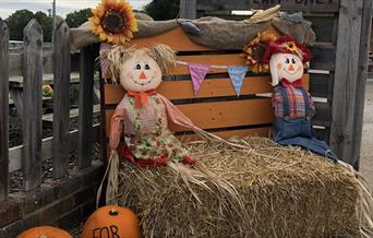Scarecrows, hay bale, bunting, sunflowers, farm