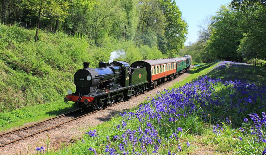Bluebell Railway travelling through countryside with Bluebells