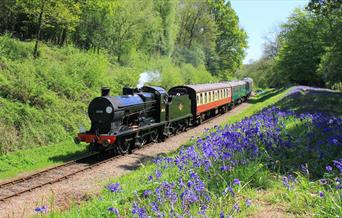 Bluebell Railway travelling through countryside with Bluebells