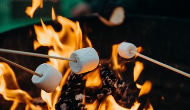 Camping Fire with marshmallows