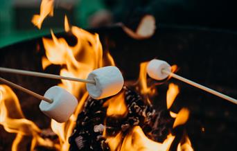 Camping Fire with marshmallows