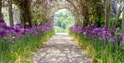 Image of a pathway with a flower arch at Coe's Farm