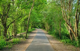 Image of the Cuckoo Trail path through the nature in Wealden