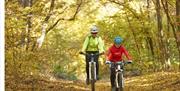 Image of two cyclists riding through a trail in the forest