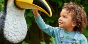 Drusillas little boy with fake toucan