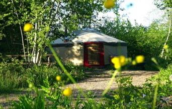 Yurt at Forest Garden - Kushti