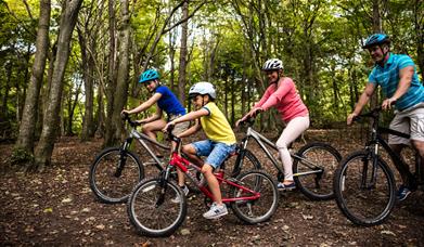 a family of four - two boys and their parents - cycling through woodland