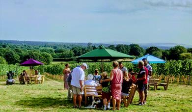 image of the vineyard picnic