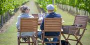 Couple drinking wine in Rathfinny Wine Estate