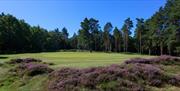 Royal Ashdown Golf 16th hole