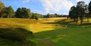 Royal Ashdown Golf 17th