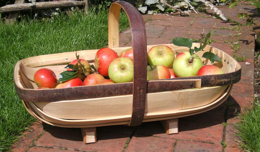 The Truggery garden trug  with apples