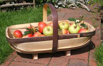 The Truggery garden trug  with apples