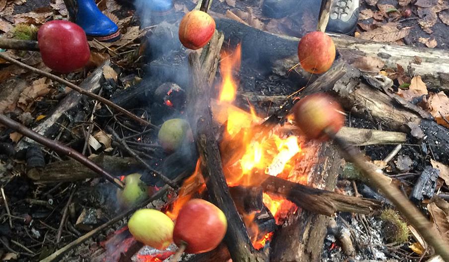 Wilderness Wood BBQ Apples