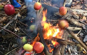 Wilderness Wood BBQ Apples