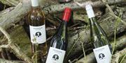 Wine bottles from Wildwood vineyard laid out in woodland