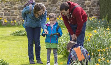Four people. Two adults with two children. They are looking at an activity map and are surrounded by daffodils.