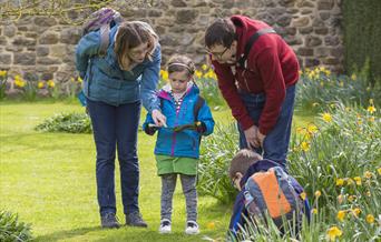 Four people. Two adults with two children. They are looking at an activity map and are surrounded by daffodils.