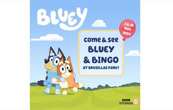 Bluey & Bingo at Drusillas