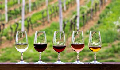 Five different types of wine