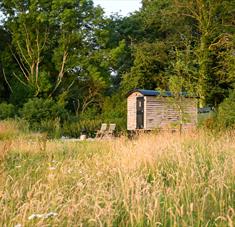 Marshwood Farm Camping - Shepherds Hut
