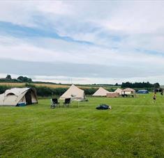 Marshwood Farm Camping