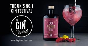 The Gin To My Tonic Gin, Rum and Vodka Festival Salisbury.