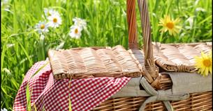 8+ Holiday Club - Picnic week