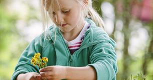 Make a Mother's Day flower posy at Stourhead