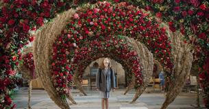Festival of Flowers Salisbury 2020