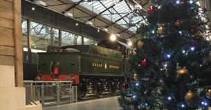 Festive Visits at STEAM
