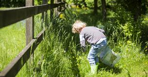 Easter egg hunts at Lacock Abbey