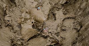 Tough Mudder South West: August 2024