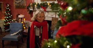 A Regency Christmas at Mompesson House