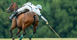 Stonehenge Polo Festival