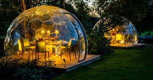 Festive Dining Igloos